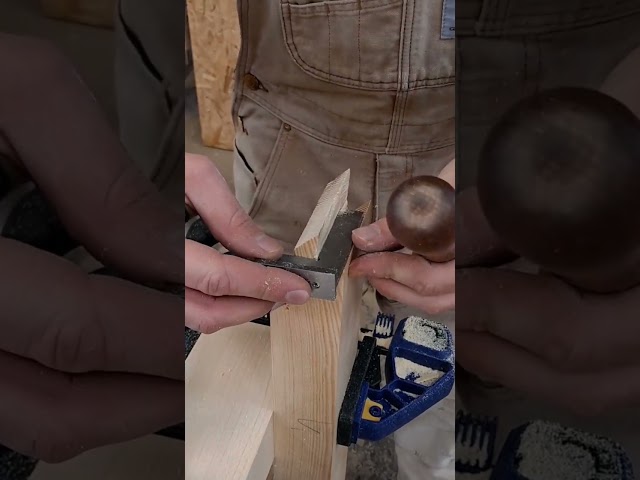 Joint