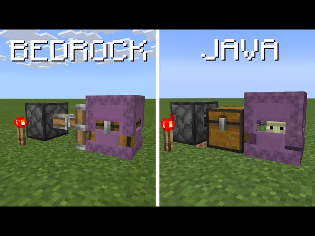 Java vs Bedrock - x100