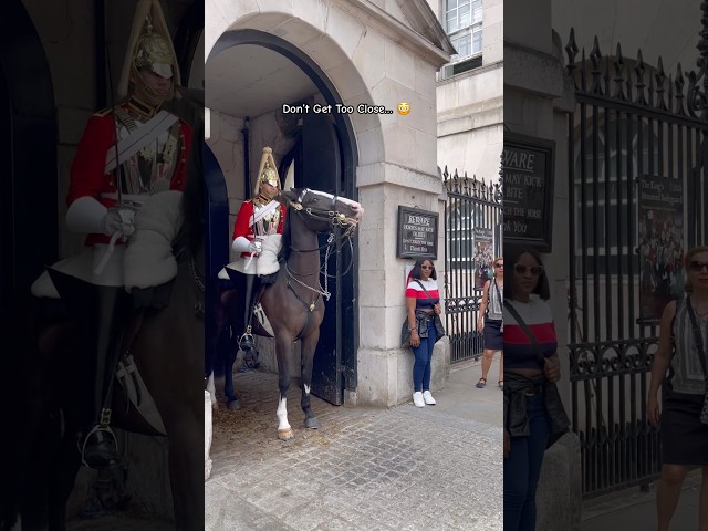 Don’t Get Too Close… 😳💂 King’s Guard Horse in London #shorts #viral #travel #uk #viralshorts
