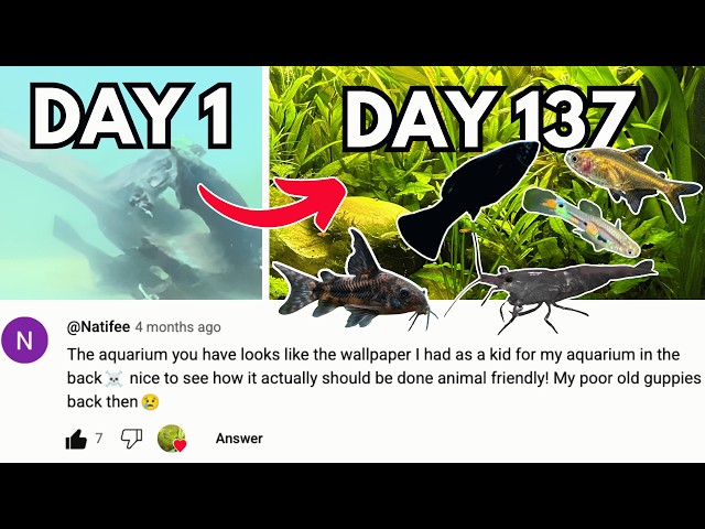 Simulating a jungle river for 130 days