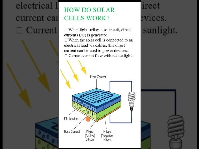 Solar PV Cell #solarcells #solarenergy #solarpv #shorts