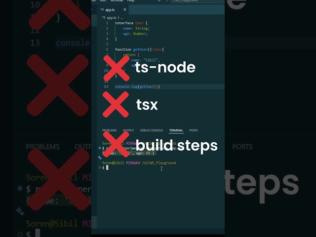 TypeScript runs natively in Node.js 🤯 #typescript #nodejs #javascript  #programming #webdevelopment