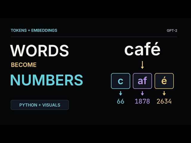 Chapter 2: From Tokens to Embeddings: A Deep Dive for Engineers