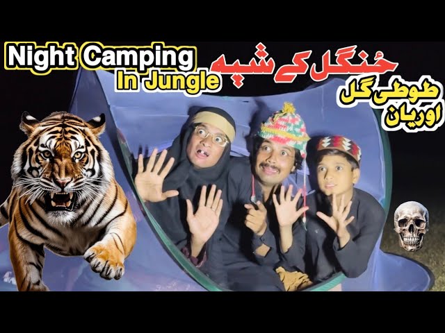 Night Camping In Jungle Ke Shpa Tuti Gull Ao Reyan || New Funny Video 2025 by Tuti Gull Official