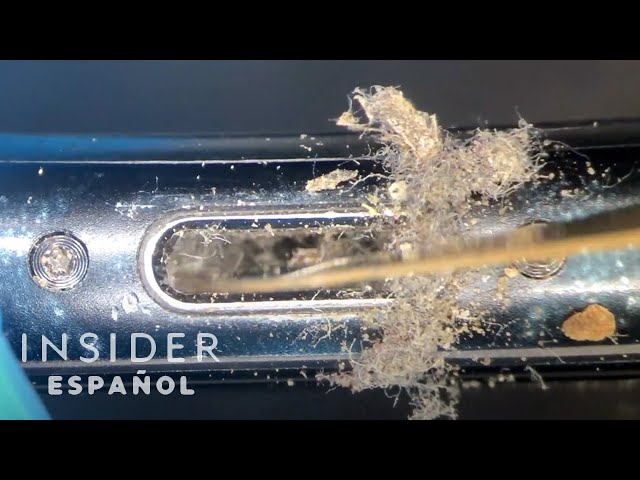 Limpieza profesional de iPhones | Limpieza a fondo | Insider Español