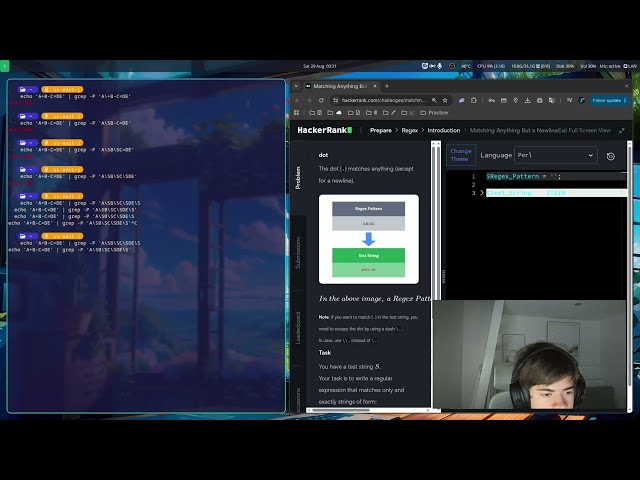 Bash Scripting #20 - HackerRank - Regex