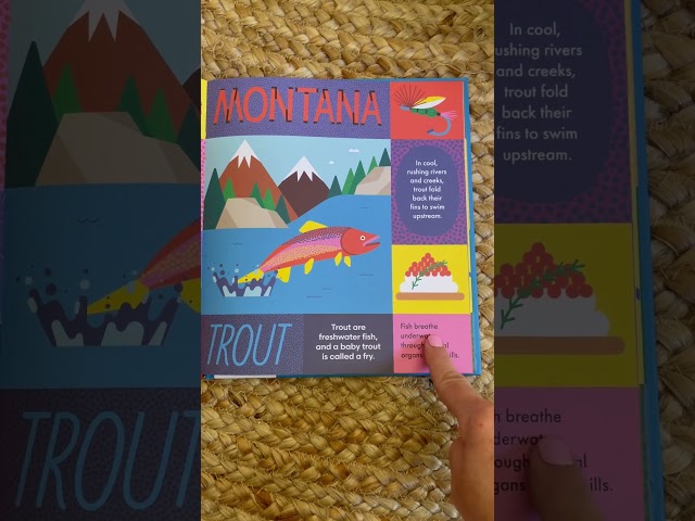 MONTANA | 50 STATES IN 50 WORDS | FUN FACTS FOR KIDS! | #learning #shorts #kids #readaloud