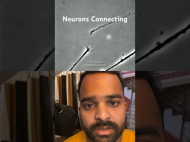 How Neurons Connect before Birth?