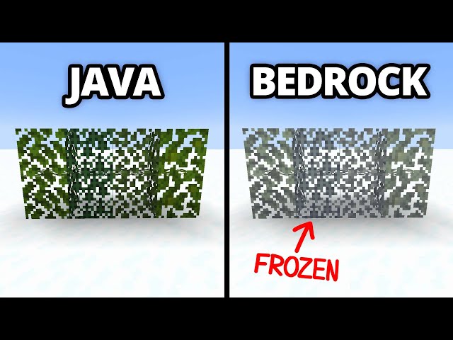 java vs bedrock v3