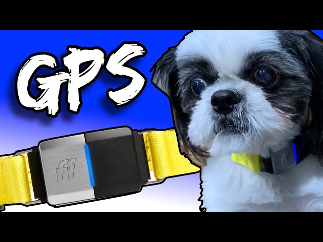 UNBELIEVABLE Battery Life - Fi GPS Tracker