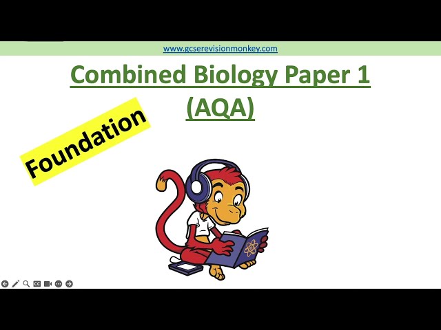 2026 GCSE Science Exam! AQA Foundation Combined Biology Paper 1