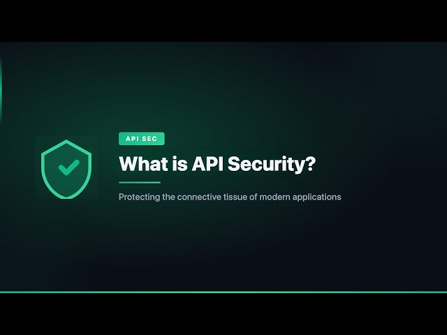 What is API Security?