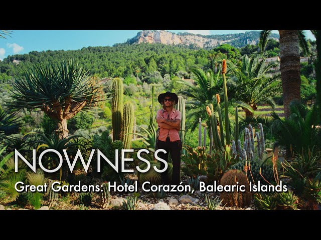 At Hotel Corazón, Mallorca, cacti and diverse farmland feed Kate Bellm & Edgar Lopez’ artistic haven