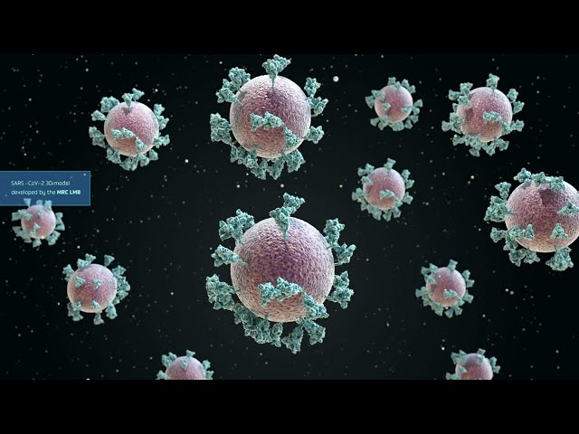 The Next Pandemic