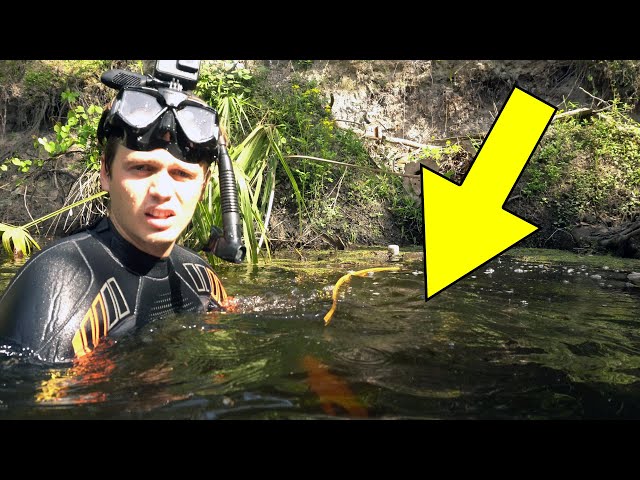 Rarest Fossil Discovery of 2021 (All Parts)