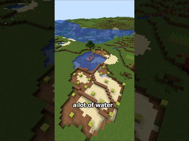 The Right Way to Use Sponges #minecraft