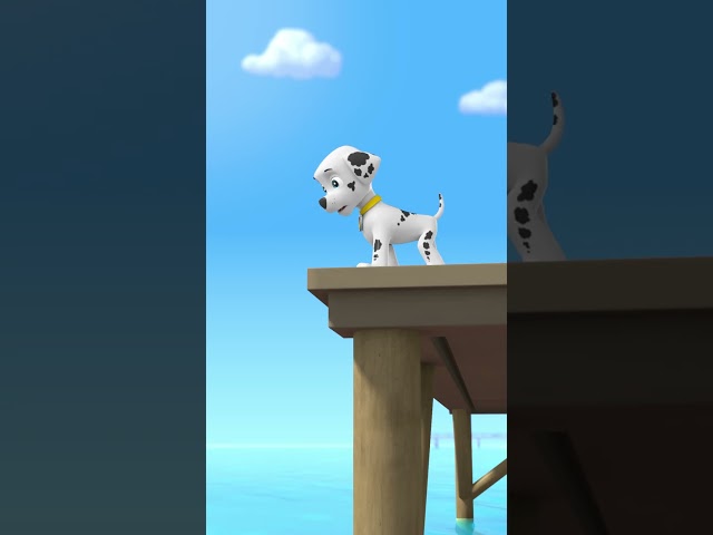 Pups Diving Trend! #short