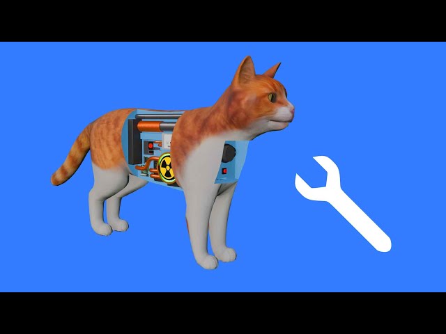 How to fix a cat