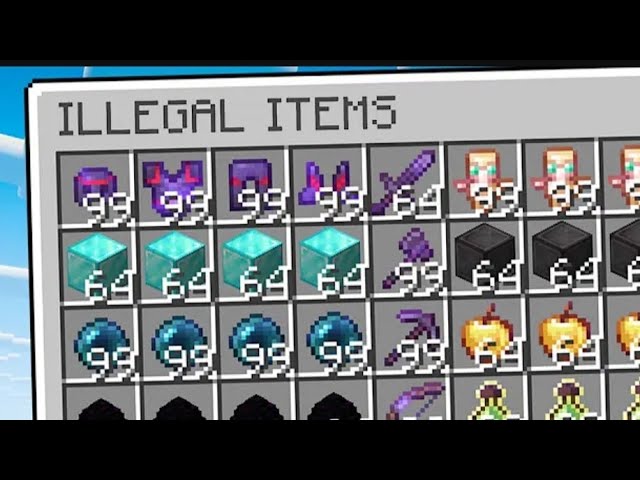 I Collected Every Illegal Item in Minecraft SMP!