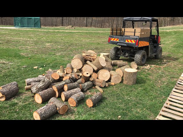 #17 Time & Effort to Cut 1 Cord of Wood