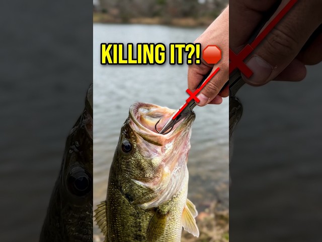 Stop doing this when you deep hook a fish 🛑 #fishing #bassfishing #shorts
