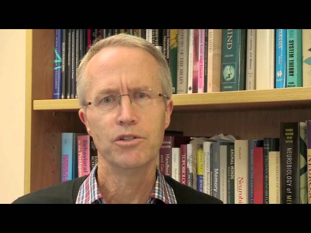 The Human Brain Project SP1: Strategic Mouse Brain Data