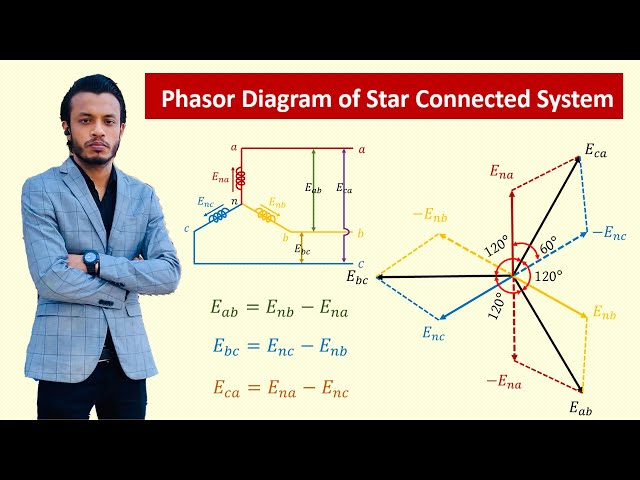 Phasor Diagram of 3 Phase Star Connection || Animation | Diploma 3rd Semester - Electrical Circuit 2