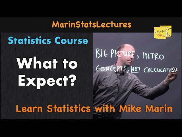 Statistics Video Tutorials at a Glance | Best Statistics Tutorials | MarinStatsLectures