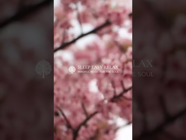 Find Your Zen: Nature Sounds & Uplifting Music #shorts #mindfulness