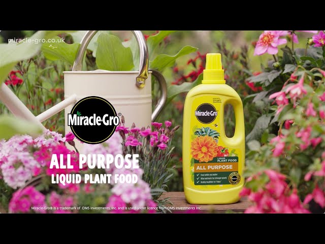 Miracle-Gro® Plant Food Liquid | Fast-Acting All Purpose Feed for Stronger, Healthier Plants
