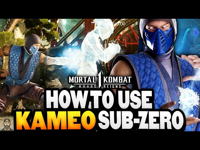 Mortal Kombat 1 - How To Use SUB-ZERO Kameo (2024) | Tips & Tricks