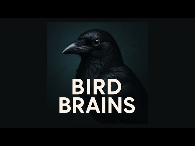Hitchcockian Crows Spread the Word About Unkind Humans - Live Science | Bird Brains