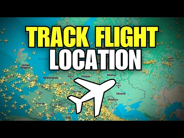 How To Track Flight Live Location & Status
