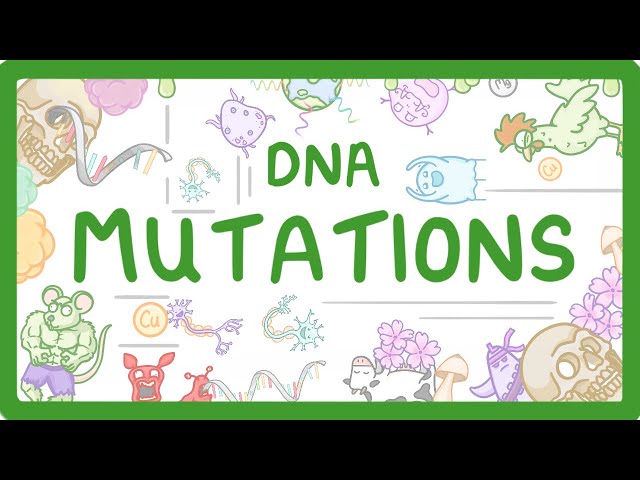GCSE Biology - What are DNA Mutations? (2026/27 exams)