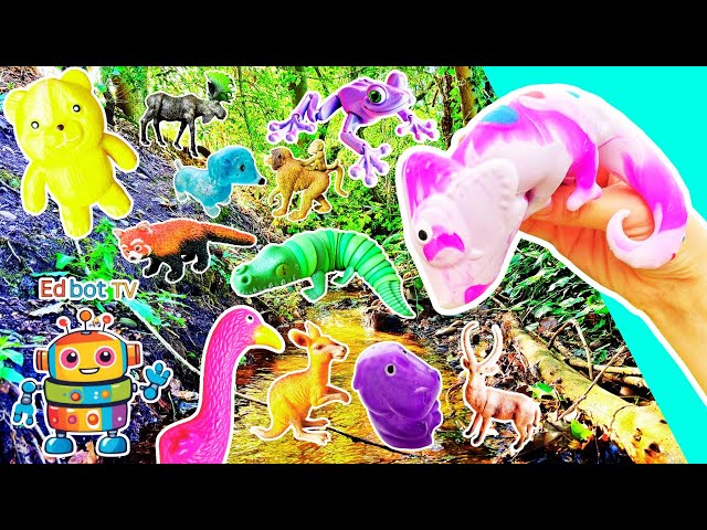 Toy Learning Fun | Kids Learn Animal Names at the Stream: Flamingo Chameleon Kangaroo