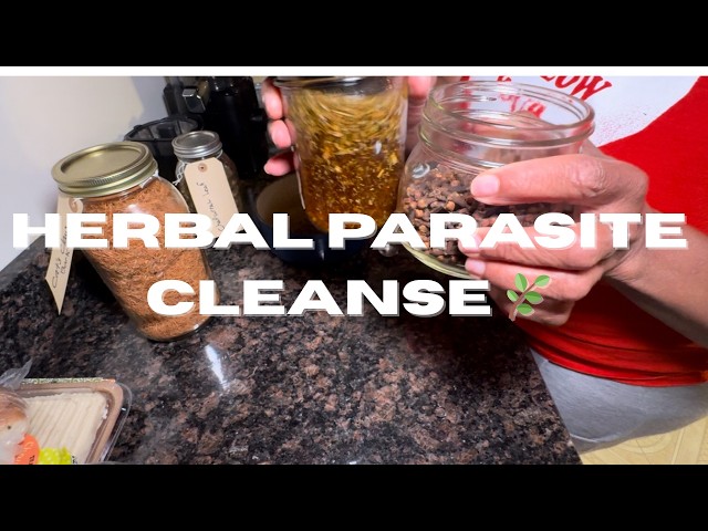 Powerful Herbal Bitter Tea for Parasite Cleanse 🌿