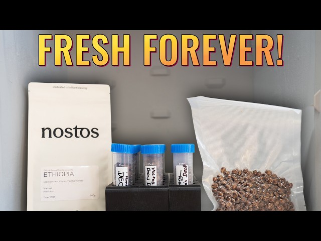 How To Freeze Coffee So It Lasts Forever