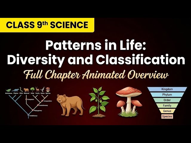 Patterns in Life: Diversity & Classification  |NCERT 2026 Class 9 | Multilingual | Animated Overview