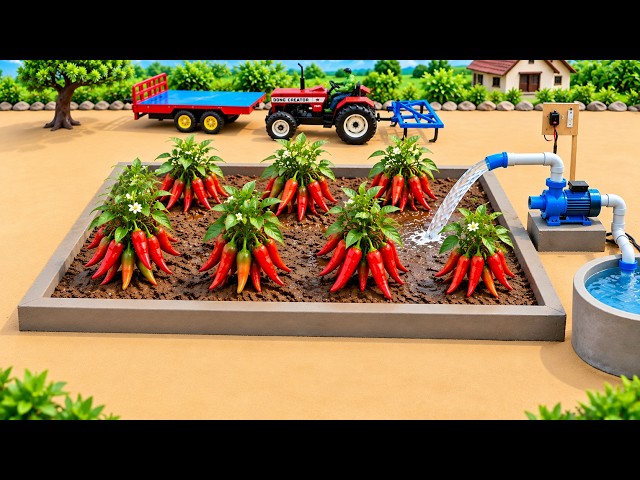 Tiny DIY Red Chilli Farming | Satisfying Miniature Red Chilli | Village Farming