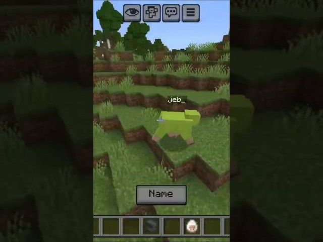 Minecraft TikTok Hacks You NEED to Try! 🤯🔥 | 10+ Crazy Minecraft Hacks & Tricks