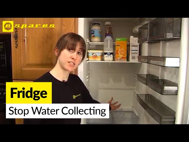 Is Water Collecting in Your Fridge? - Why & How to Stop it!