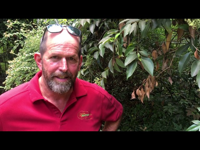 Integrated Pest Management Program (IPM)
