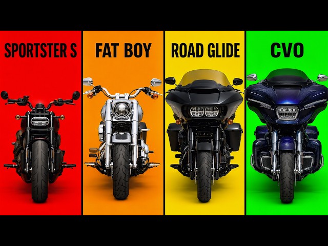 The 7 Level Of Harley-Davidson Explained