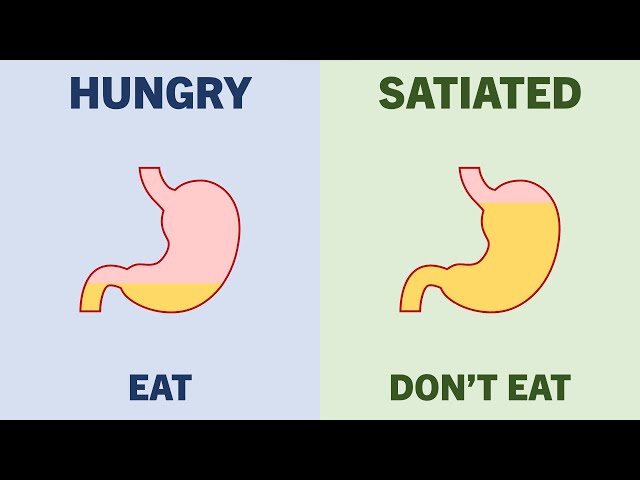 Complete Intuitive Eating Guide