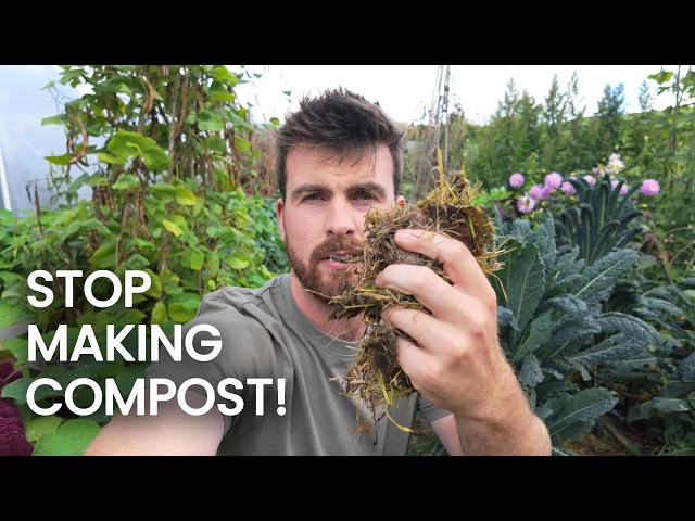 Why I No Longer Make Compost in Autumn (And What I Do Instead)