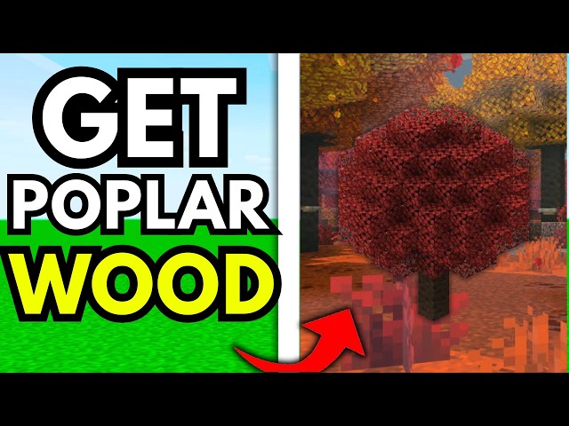How to Get Poplar Wood in Minecraft 26.3