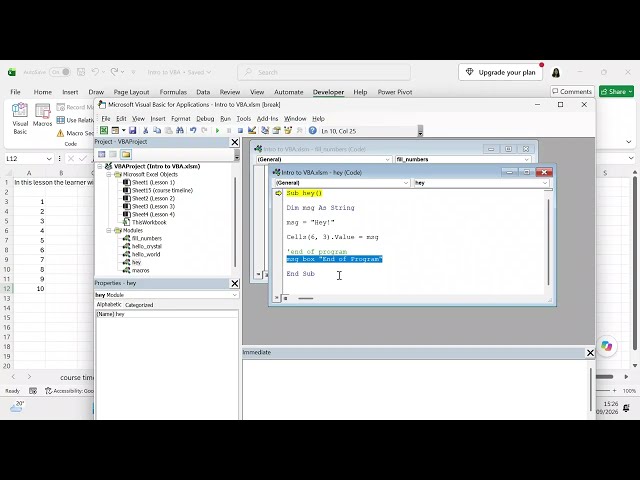 Code your first module in Excel VBA