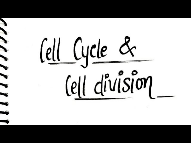 Class 11 Biology – Handwritten Notes of "Cell Cycle & Cell Division" 🌺☘️ @Class11and12th 