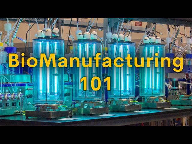 What is BioManufacturing