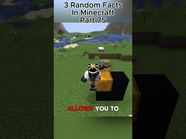 Can You Shoot Through A Honey Block?
